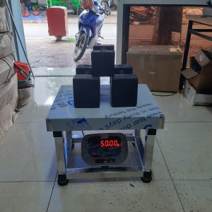 Cân ghế điện tử khung toàn bộ inox A501E