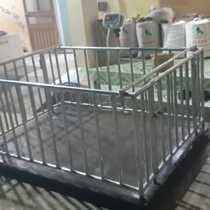 Cân sàn điện tử A501E